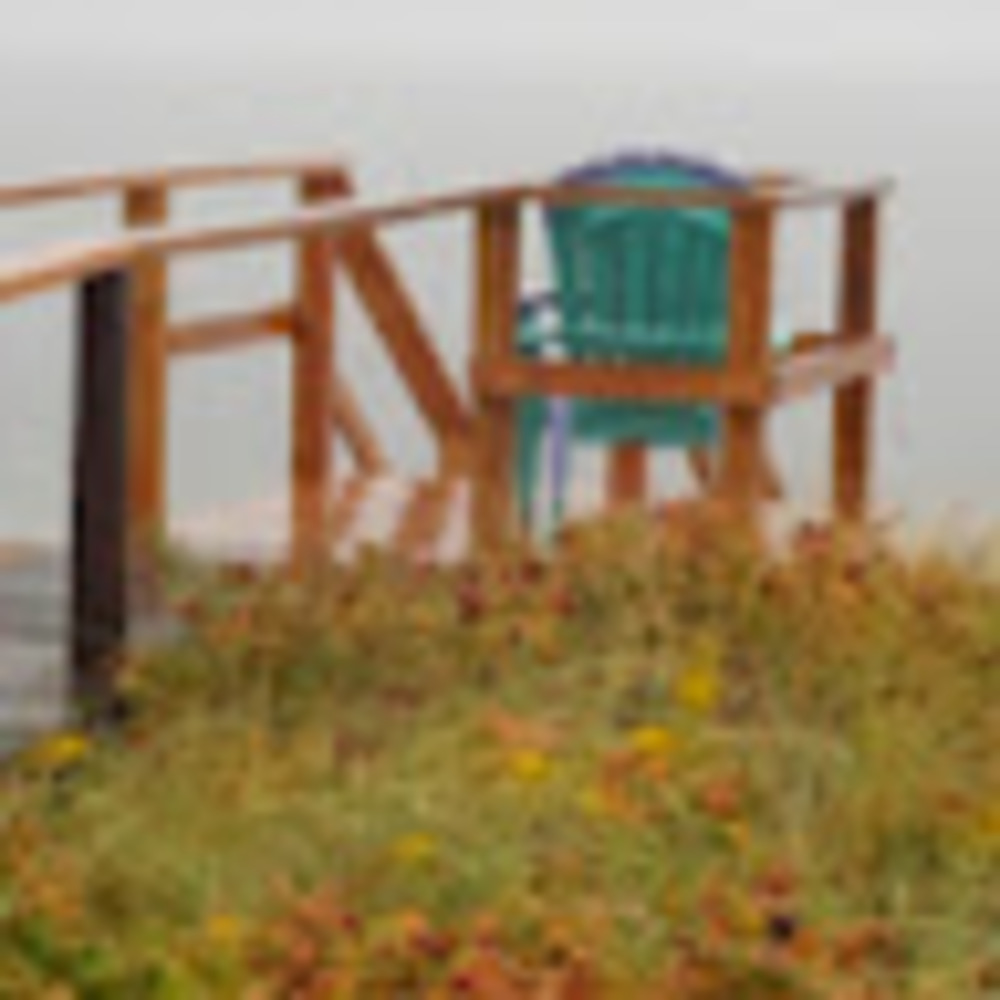 Meet your Posher, Jan